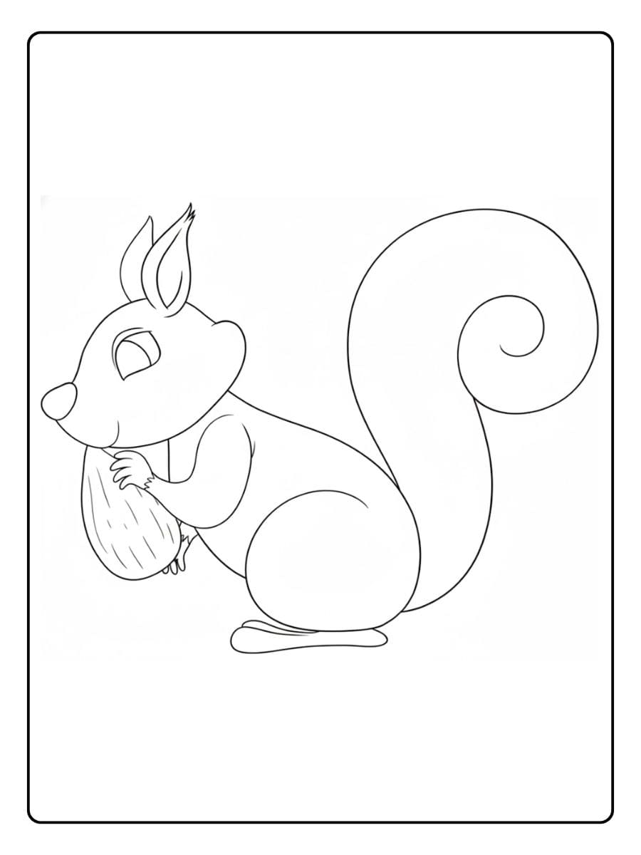 Coloriage écureuil avec noisette