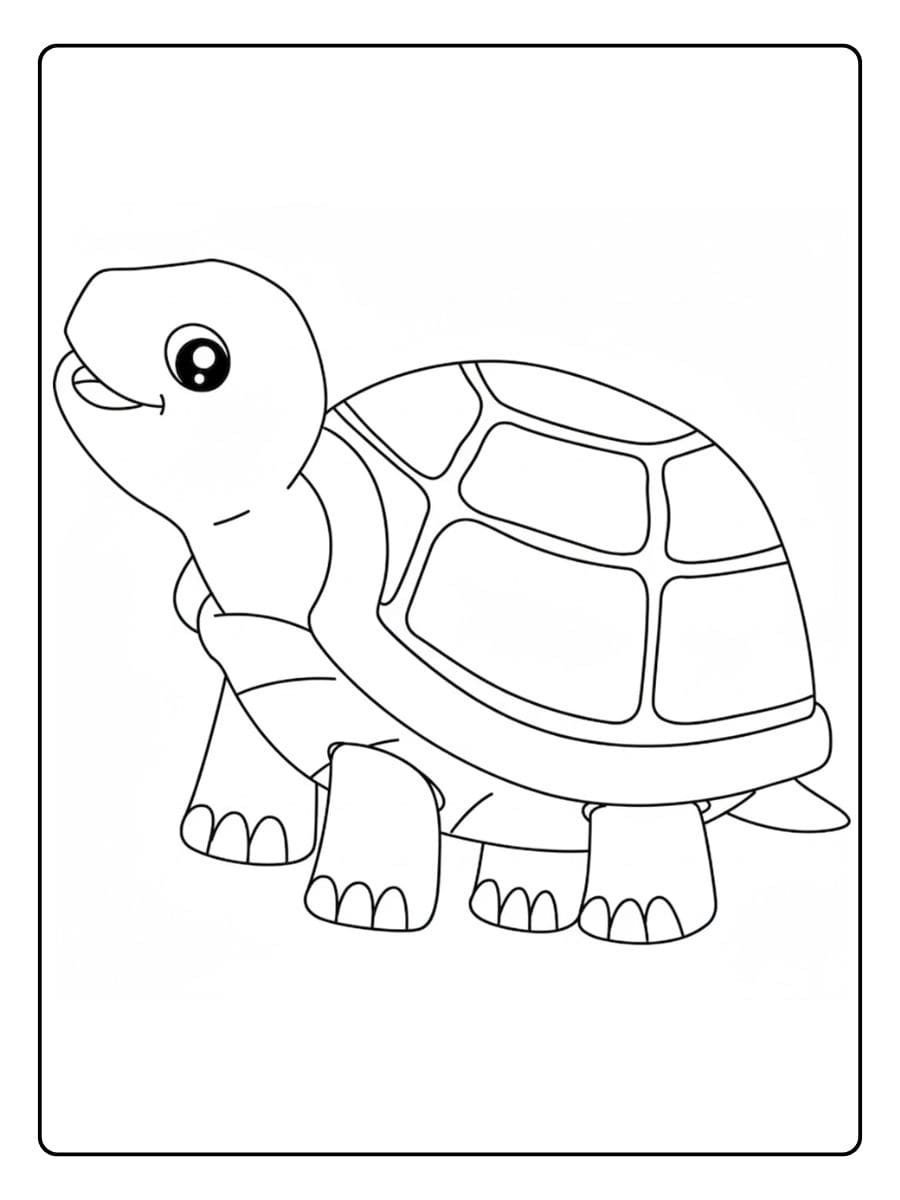 Coloriage tortue facile pour enfants