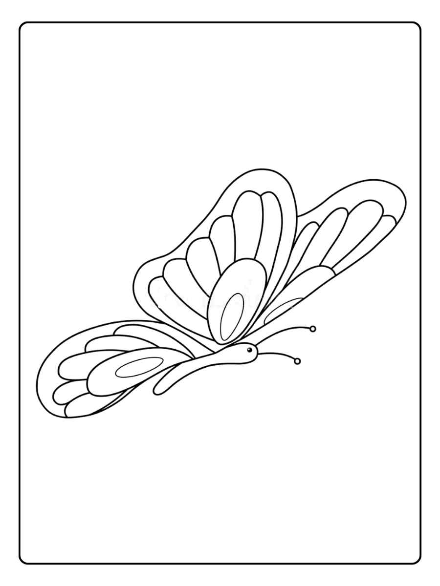 Papillons coloriage papillon élégant aux ailes ouvertes