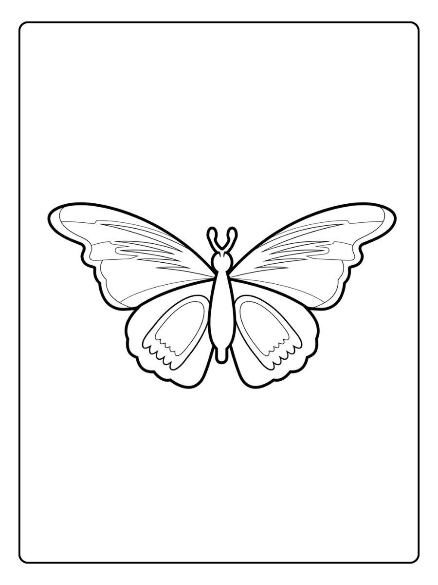 Papillons coloriage papillon simple en vue de face